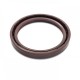 Pressure Oil Seal 55x70x8/8,5 N1T01 FPM [BABSL]